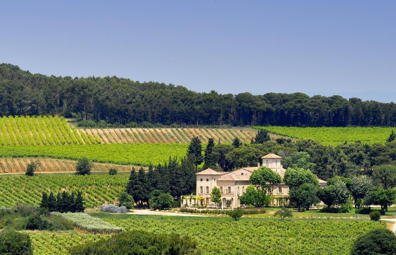 Chambre d'hôtes Château Gigognan Sorgues Exterior foto